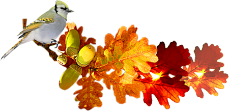 őszi állatok_187.png